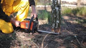  Milton Freewater, OR Tree Care Services Pros