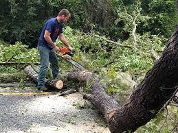 Best Hedge Trimming  in Milton Freewater, OR