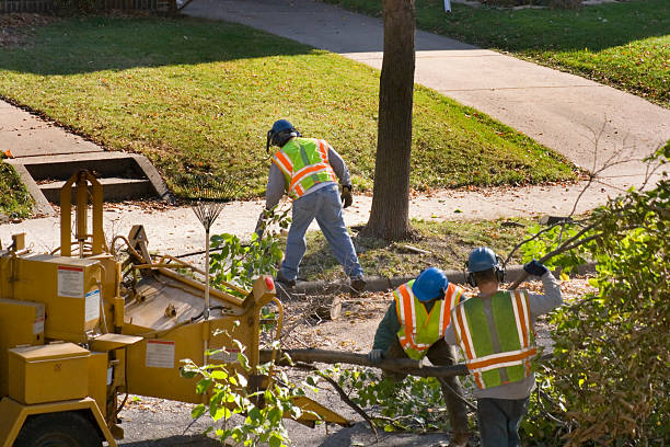 Best Arborist Consultation Services  in Milton Freewater, OR